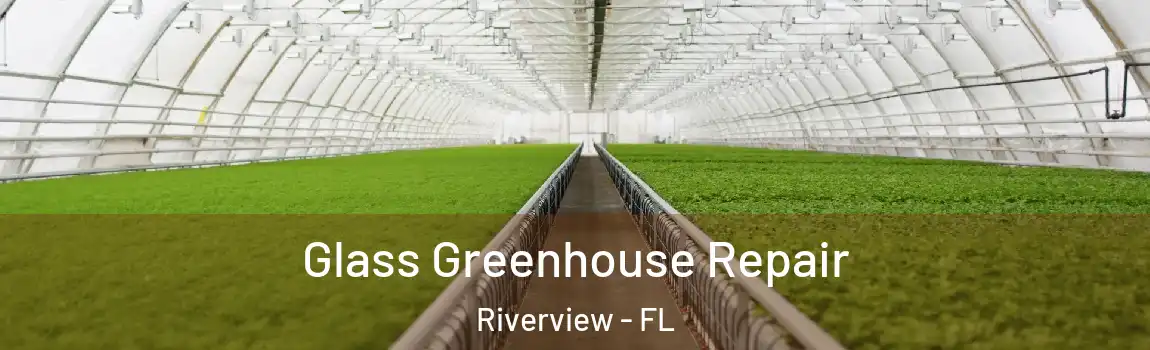  Glass Greenhouse Repair Riverview - FL