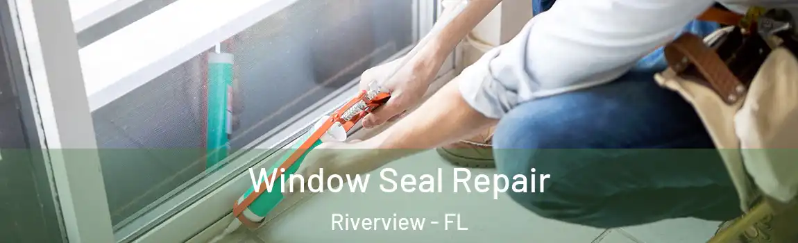 Window Seal Repair Riverview - FL
